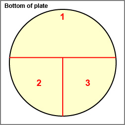 Illustration showing how to label a petri plate to guide streaking.